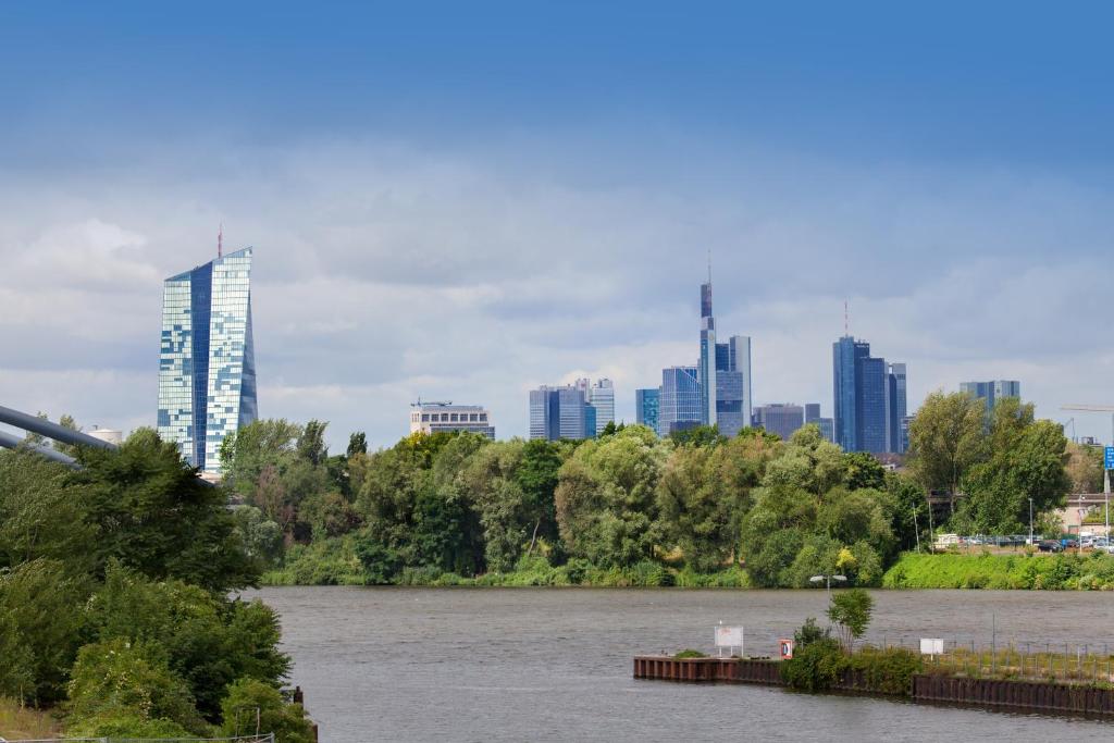 Main Apartment Frankfurt Offenbach room 3